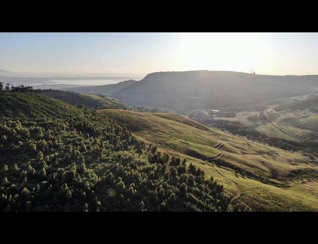 FARM FOR SALE IN MOUNT VERDE